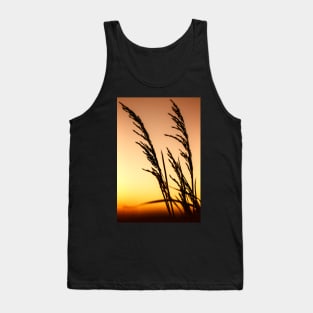 False Oat Grass at Sunset Tank Top